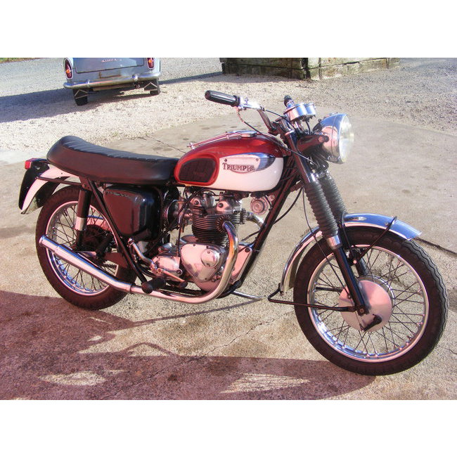 Triumph T100 SS