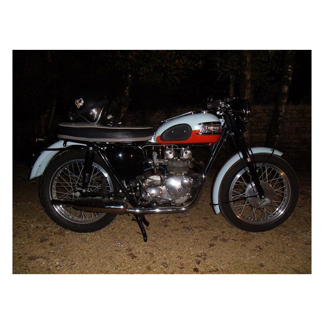 Triumph T 100