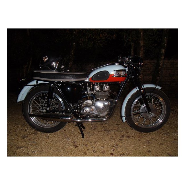 Triumph T 100 