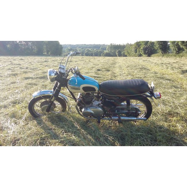 Triumph T 100