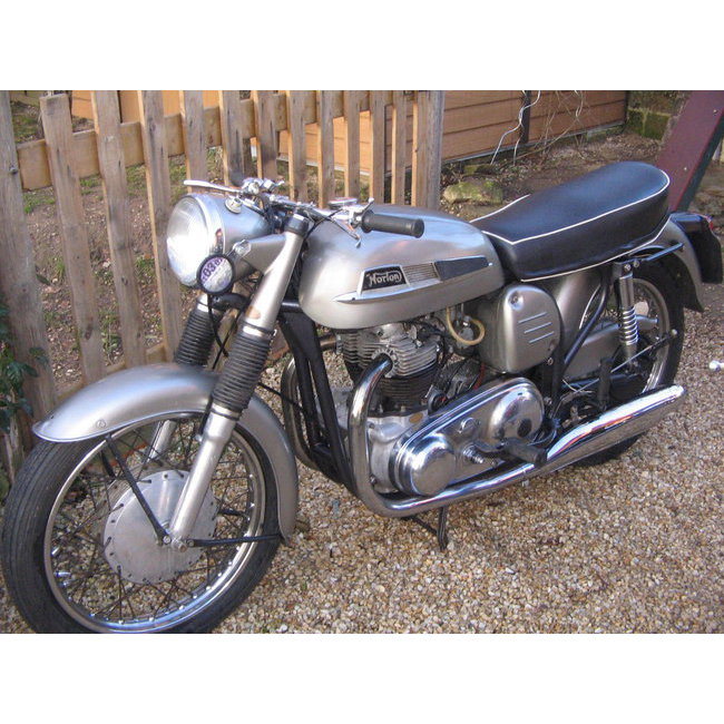 Norton 99