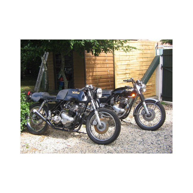 Norton
