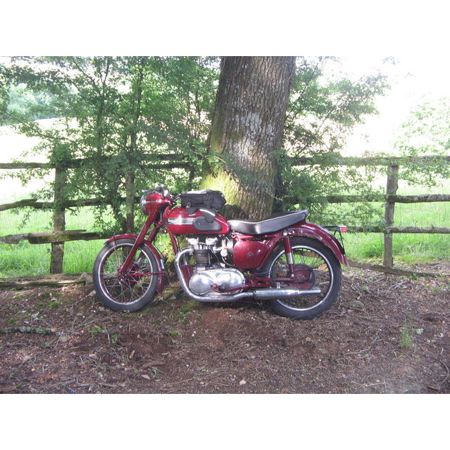Triumph 5T 1955
