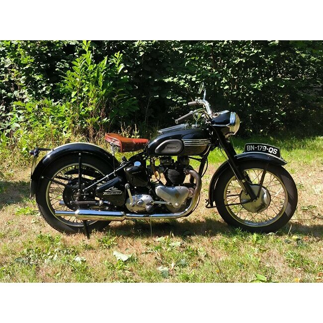 Triumph Thunderbird