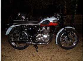 Triumph T 100 