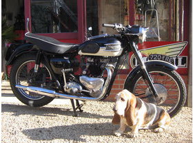 Triumph 6T 1959