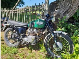 Triumph T100 C